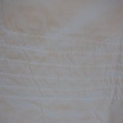 Cuauxicala _huauchinango16